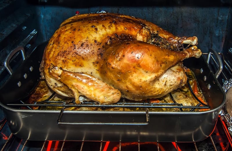 Thanksgiving Turkey in the United States